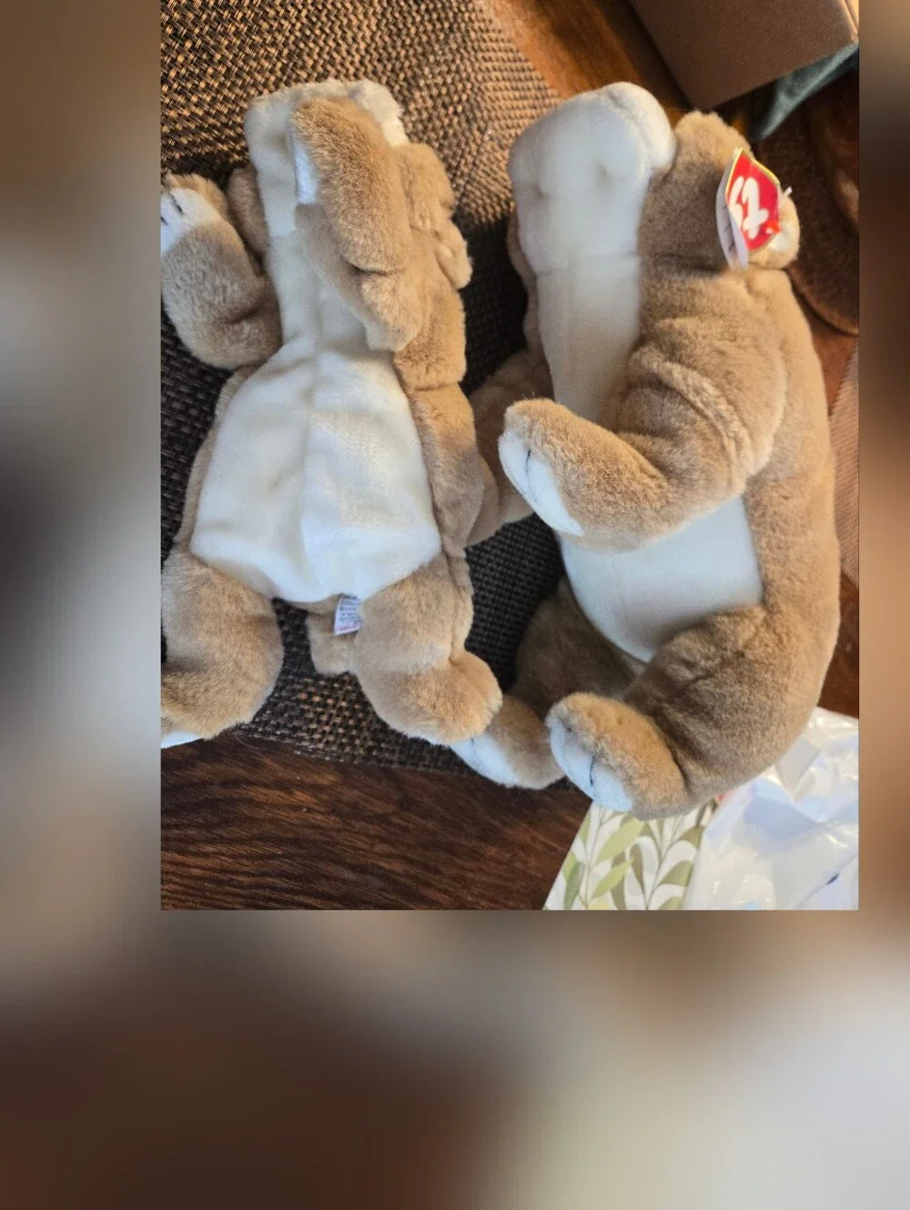Ty Winston and Wrinkles Pair